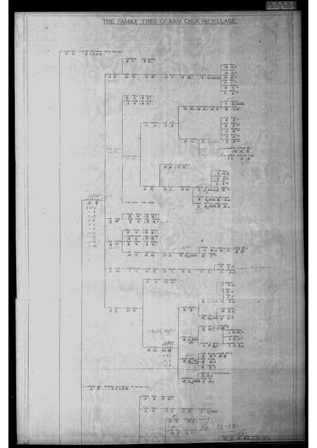 广东王氏族谱-金竹排村王斯福家族谱.pdf电子版插图4 广东王氏族谱-金竹排村王斯福家族谱.pdf电子版插图4
