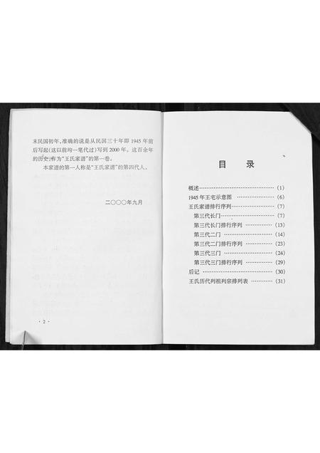 河南王氏族谱-王氏家谱[不分卷].pdf电子版插图4