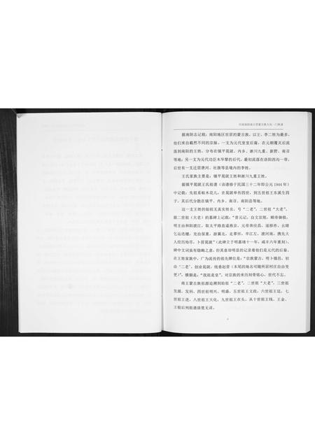 河南王氏族谱-王氏家谱[不分卷].pdf电子版插图4