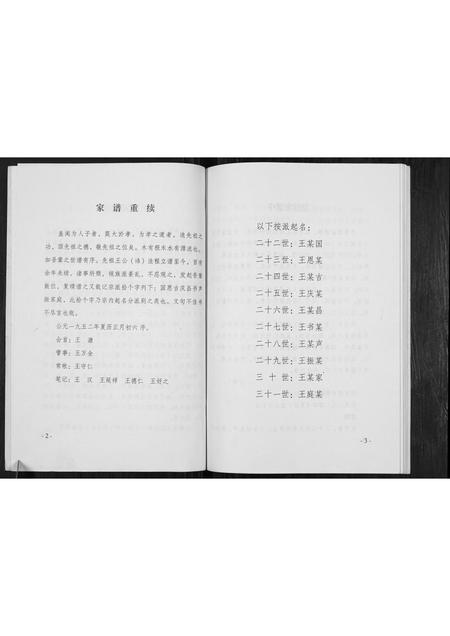 河南王氏族谱-王氏族谱.pdf电子版插图4 河南王氏族谱-王氏族谱.pdf电子版插图4