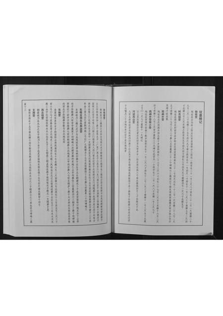 河南王氏族谱-王氏族谱.pdf电子版插图4