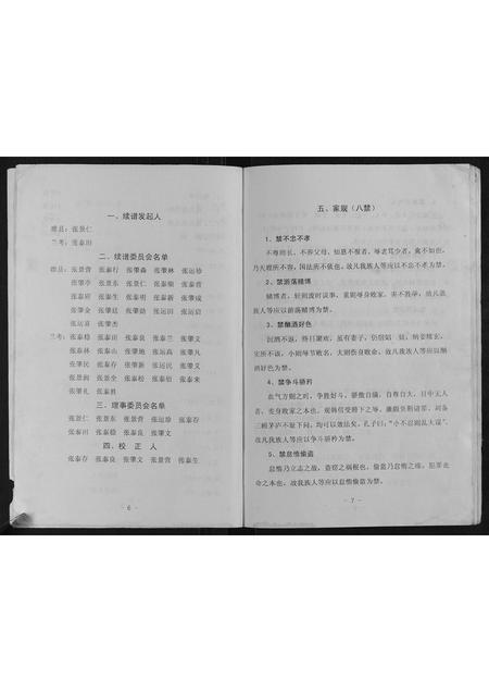 河南未知族谱-张氏族谱.pdf电子版插图4