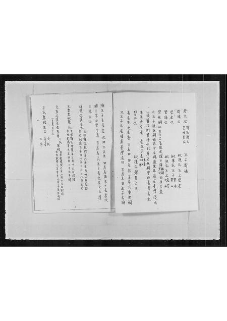 广东魏氏族谱-[魏氏]家谱.pdf电子版插图4