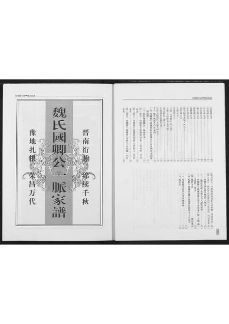 河南魏氏族谱-魏氏族谱.pdf电子版插图4