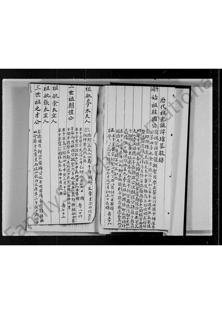 广东伍氏族谱-伍氏九族家谱.pdf电子版插图4