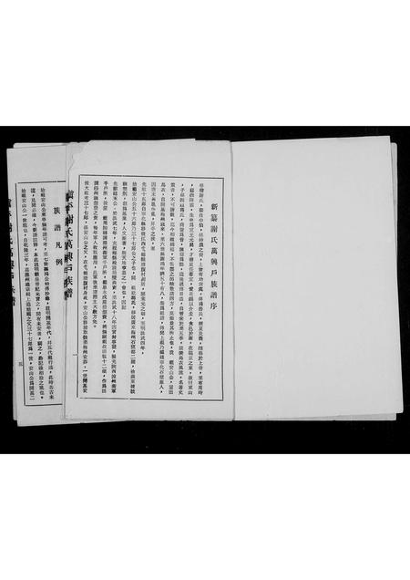 广东谢氏族谱-镇平谢氏万兴户族谱.pdf电子版插图4