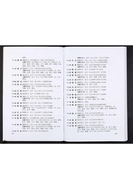 广东熊氏族谱-熊氏胜公世系谱[3卷].pdf电子版插图4