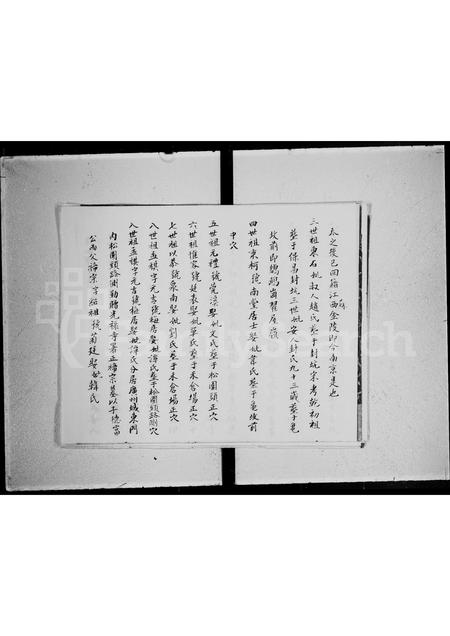 广东徐氏族谱-徐氏家族部.pdf电子版插图4