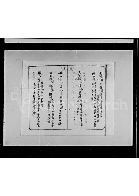 广东杨氏族谱-荃湾油金头村杨姓族部[谱].pdf电子版插图4