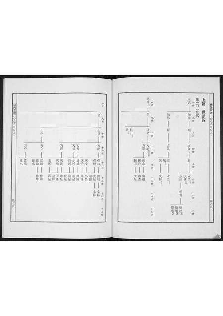 河南杨氏族谱-杨氏宗谱[不分卷].pdf电子版插图4
