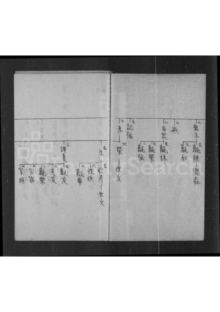 广东叶氏族谱-元岭叶氏族谱.pdf电子版插图4