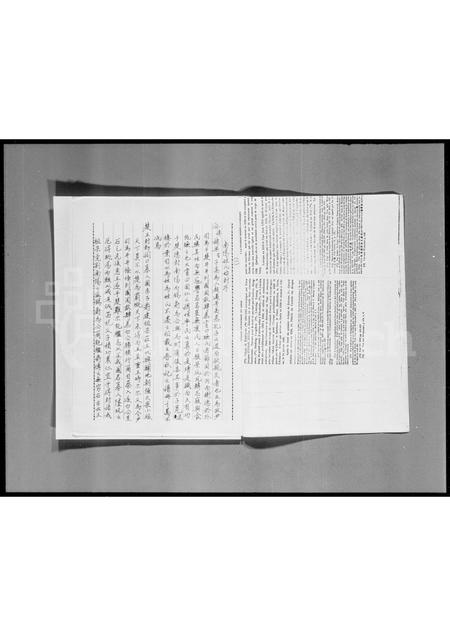 广东叶氏族谱-沙头角运麻坑叶氏族谱.pdf电子版插图4