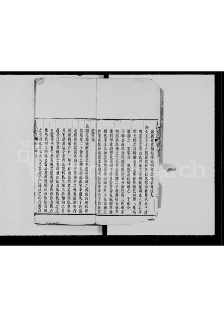 广东袁氏族谱-罗湖袁氏家谱.pdf电子版插图4