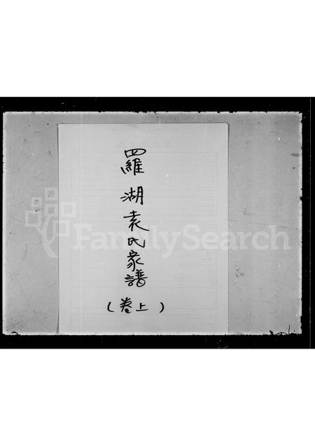 广东袁氏族谱-罗湖袁氏家谱.pdf电子版插图4