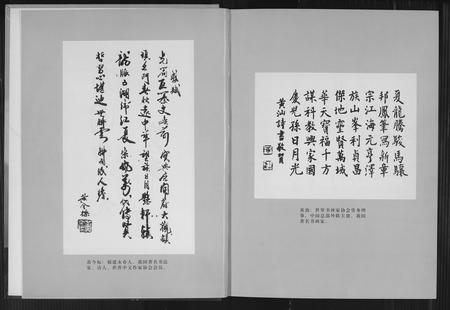 福建黄氏族谱-福鼎黄氏宗谱.pdf电子版插图4