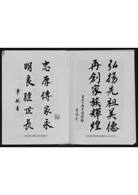 河南章氏族谱-唐桐章氏家族谱.pdf电子版插图4