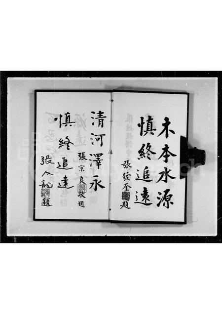 广东张氏族谱-张氏清河堂族谱.pdf电子版插图4