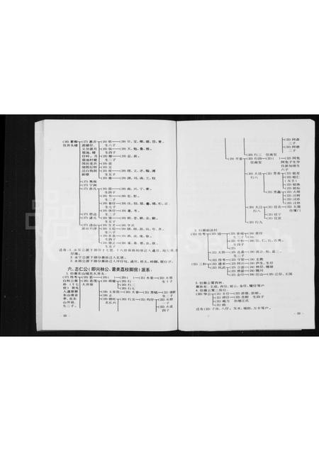 广东、福建张氏族谱-云霄西林张氏家谱.pdf电子版插图4