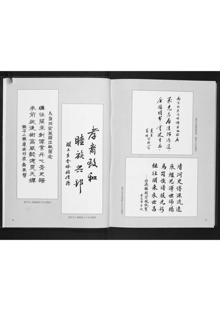 广东张氏族谱-马岗张氏族谱.pdf电子版插图4