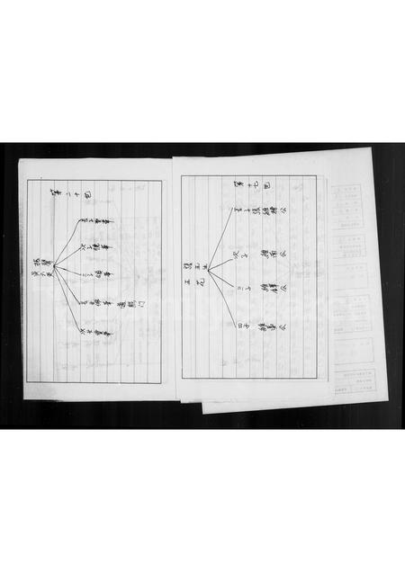 广东张氏族谱-张氏第十七世后祖谱.pdf电子版插图4