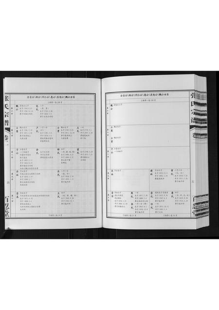 河南张氏族谱-张氏宗谱[2卷].pdf电子版插图4