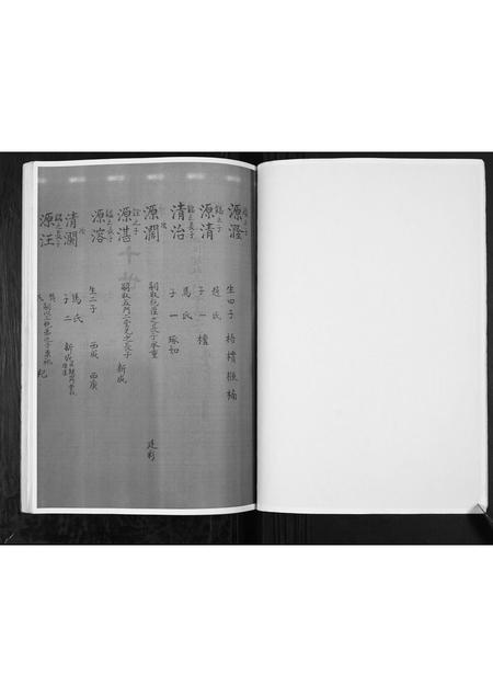 河南张氏族谱-张氏家谱.pdf电子版插图4 河南张氏族谱-张氏家谱.pdf电子版插图4