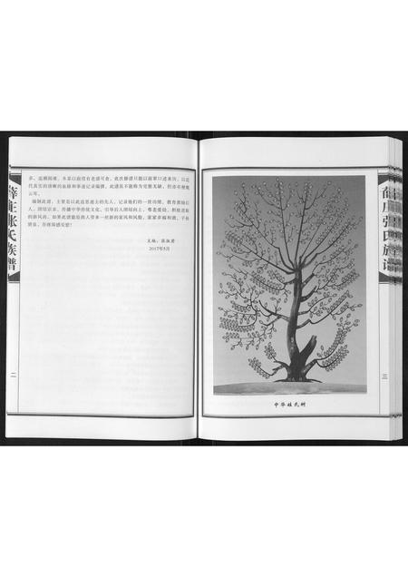 河南张氏族谱-张氏族谱[不分卷].pdf电子版插图4