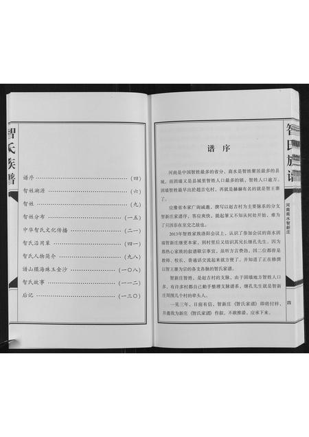 河南智氏族谱-智氏族谱[不分卷].pdf电子版插图4
