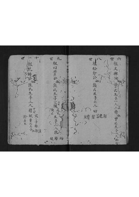 广东邹氏族谱-邹氏宗谱[不分卷].pdf电子版插图4