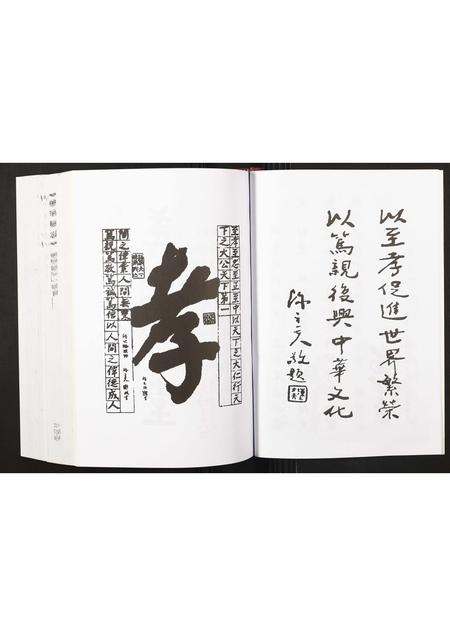 广东陈氏族谱-陈氏族志 [不分卷].pdf电子版插图4