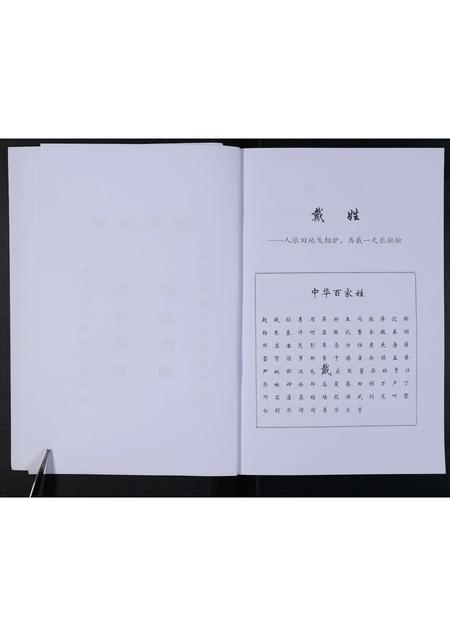 河南戴氏族谱-鹿邑淮阳戴氏族谱.pdf电子版插图4