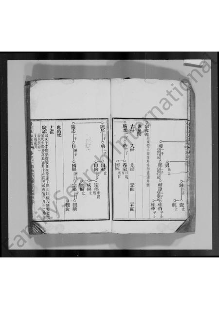 广东单氏族谱-岭南单氏十修族谱 [残卷].pdf电子版插图4