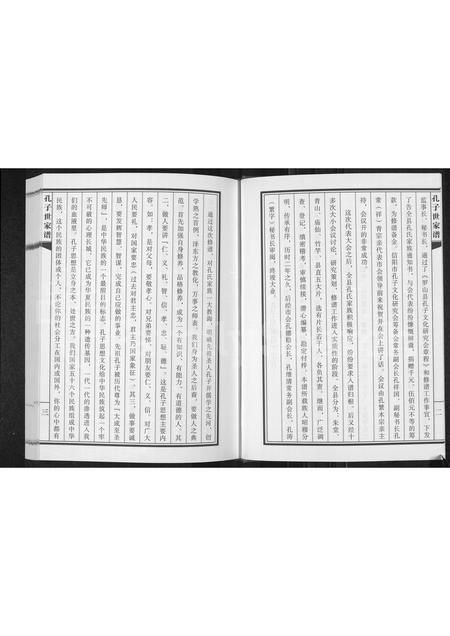 河南孔氏族谱-孔子世家谱 _ 河南省信阳市罗山县支.pdf电子版插图4