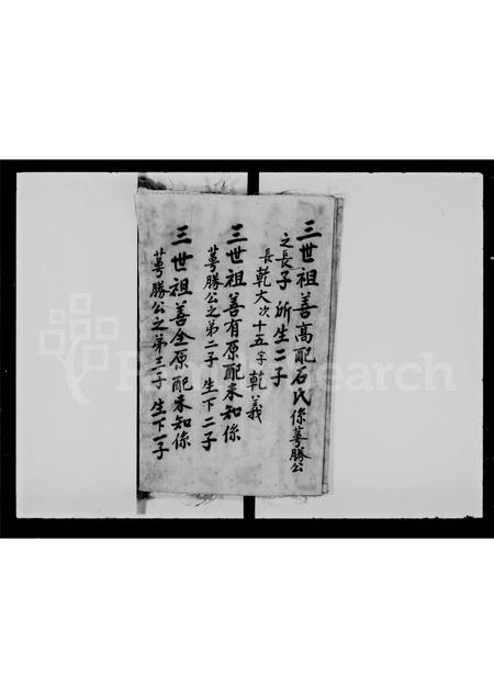 广东黎氏族谱-黎氏宗族家谱.pdf电子版插图4