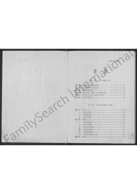 河南孙氏族谱-洛阳谷水孙氏族谱(乐安世家) [不分卷].pdf电子版插图4