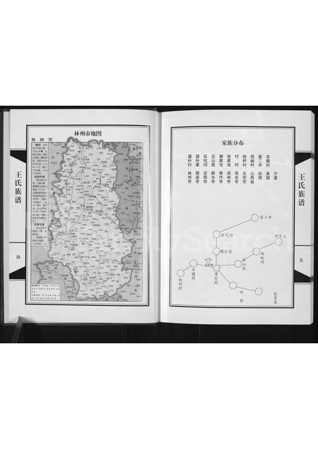 河南王氏族谱-临淇厚朴王氏族谱.pdf电子版插图4