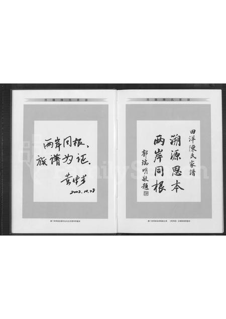 福建陈氏族谱-同安田洋金门庵前浯阳陈氏家谱 [不分卷].pdf电子版插图4