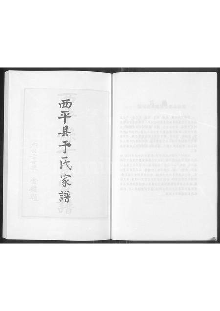 河南于氏族谱-西平县于氏家谱.pdf电子版插图4