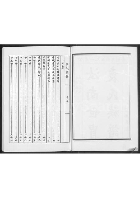 河南袁氏族谱-袁氏族谱.pdf电子版插图4