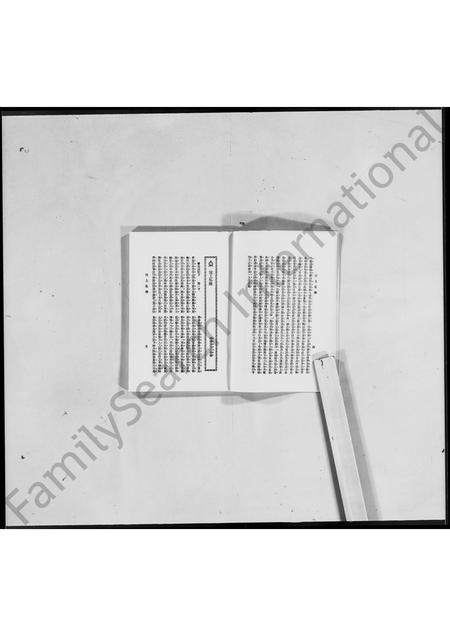 河南袁氏族谱-洹上私乘 _ 袁世凯家谱 [7卷].pdf电子版插图4