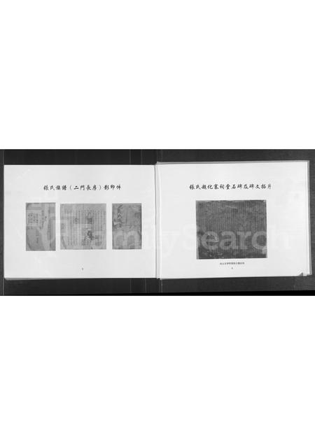 河南张氏族谱-张氏族谱.pdf电子版插图4