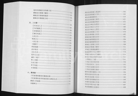河南刁氏族谱-刁氏家谱.pdf电子版插图4