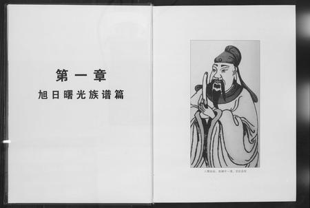 河南高氏族谱-高氏家族谱.pdf电子版插图4