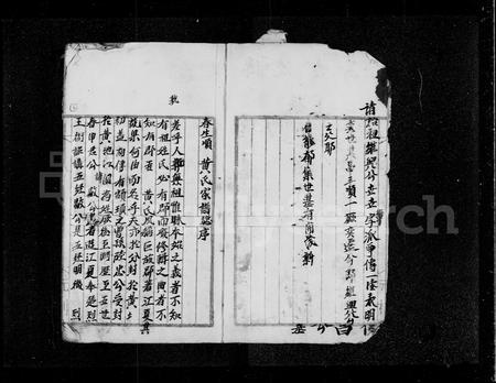 广东黄氏族谱-新界沙头角锁罗盆村黄姓族谱.pdf电子版插图4