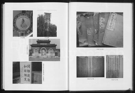 河南卢氏族谱-归德(商丘)卢氏族谱.pdf电子版插图4