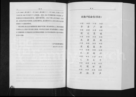 河南卢氏族谱-范阳卢氏族谱.pdf电子版插图4