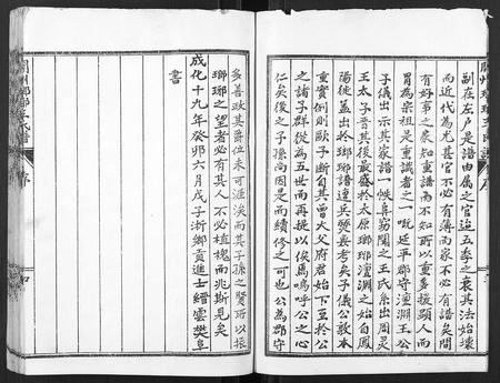 河南王氏族谱-开州琅琊王氏谱.pdf电子版插图4