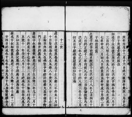 广东翁氏族谱-翁氏族谱 [16卷].pdf电子版插图4