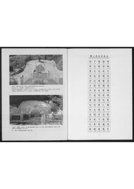 福建黄氏族谱-[黄氏]志德公宗支谱录.pdf电子版插图4