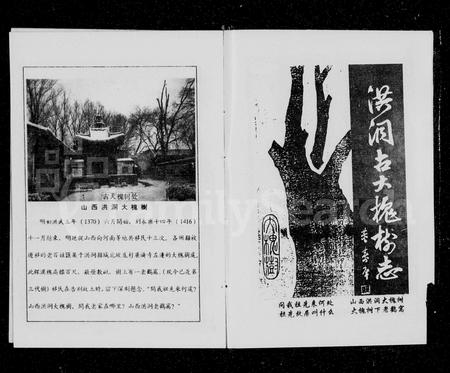 河南郑氏族谱-郑氏族谱.pdf电子版插图4